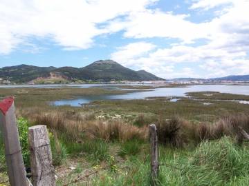 Jardín